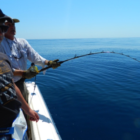 Client playing an Algarve Mako Shark